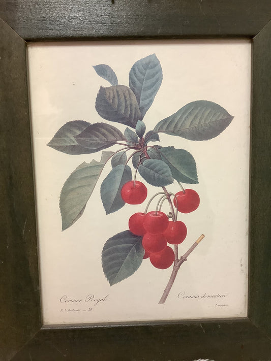 Vintage Fruit painting wall decor image 1