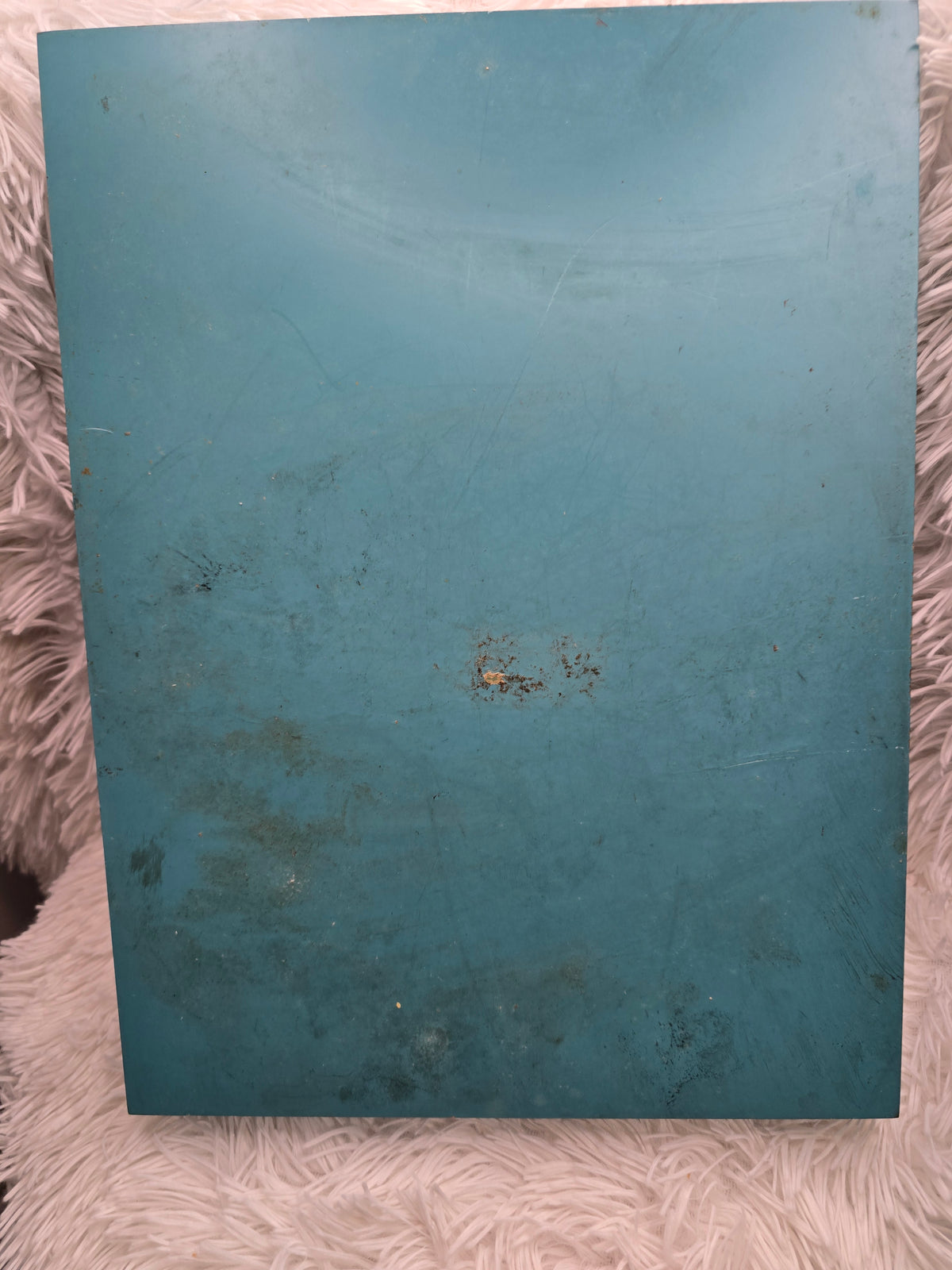 Blue Tray