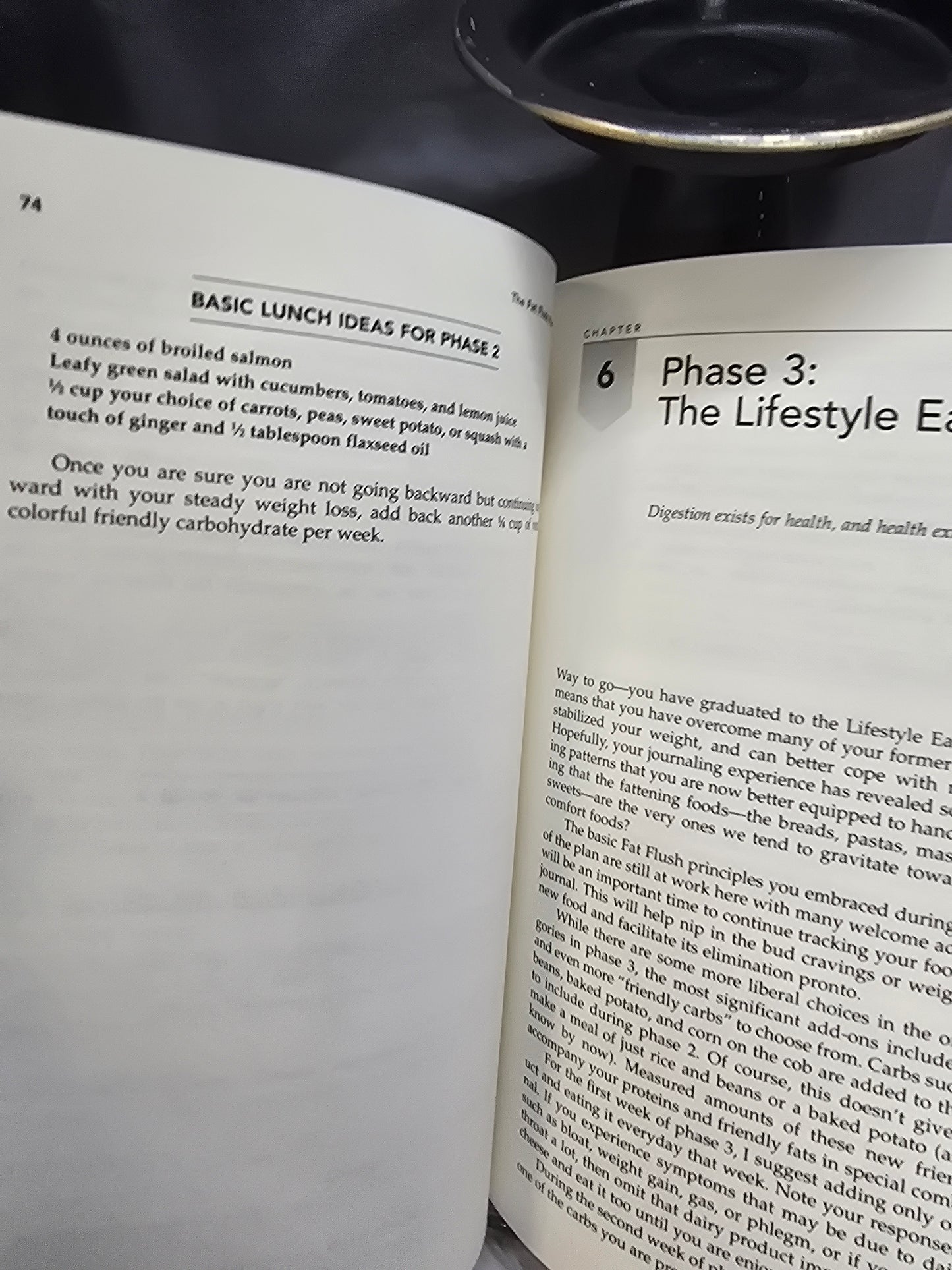 The fat flush plan image 3