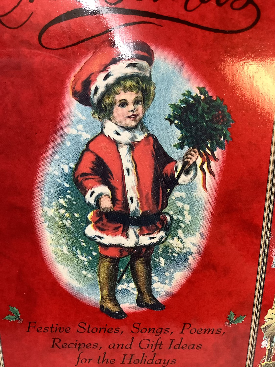 Merry Christmas book image 0