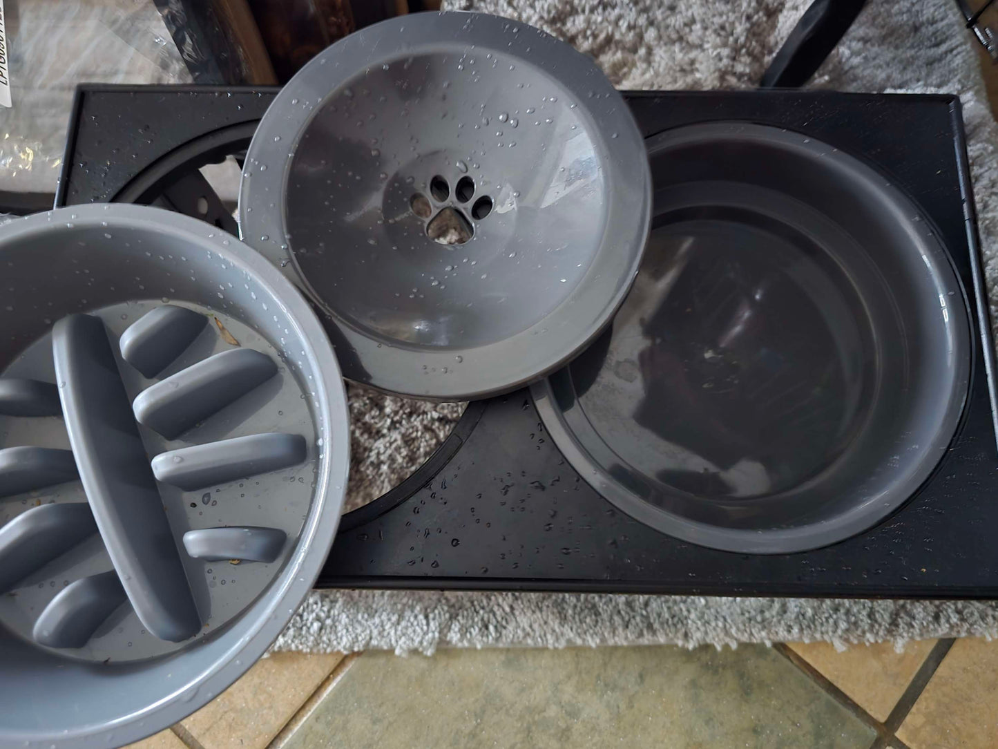 Dog bowl image 2