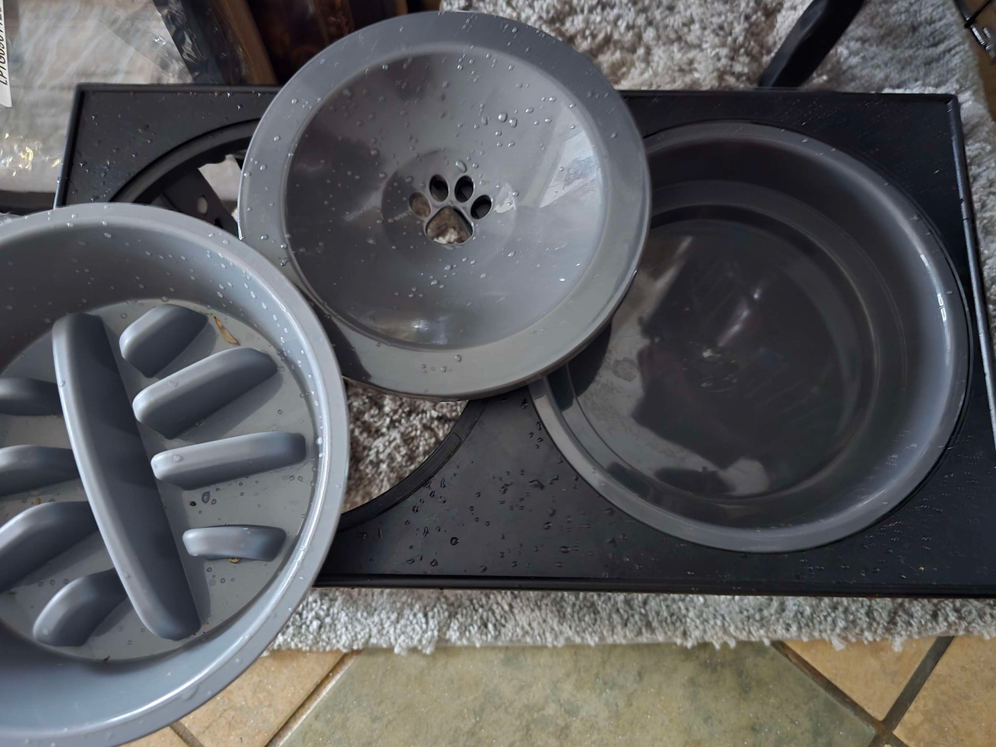 Dog bowl image 2