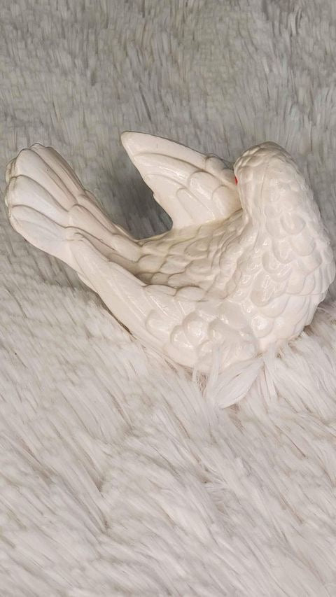 Pair white doves image 2
