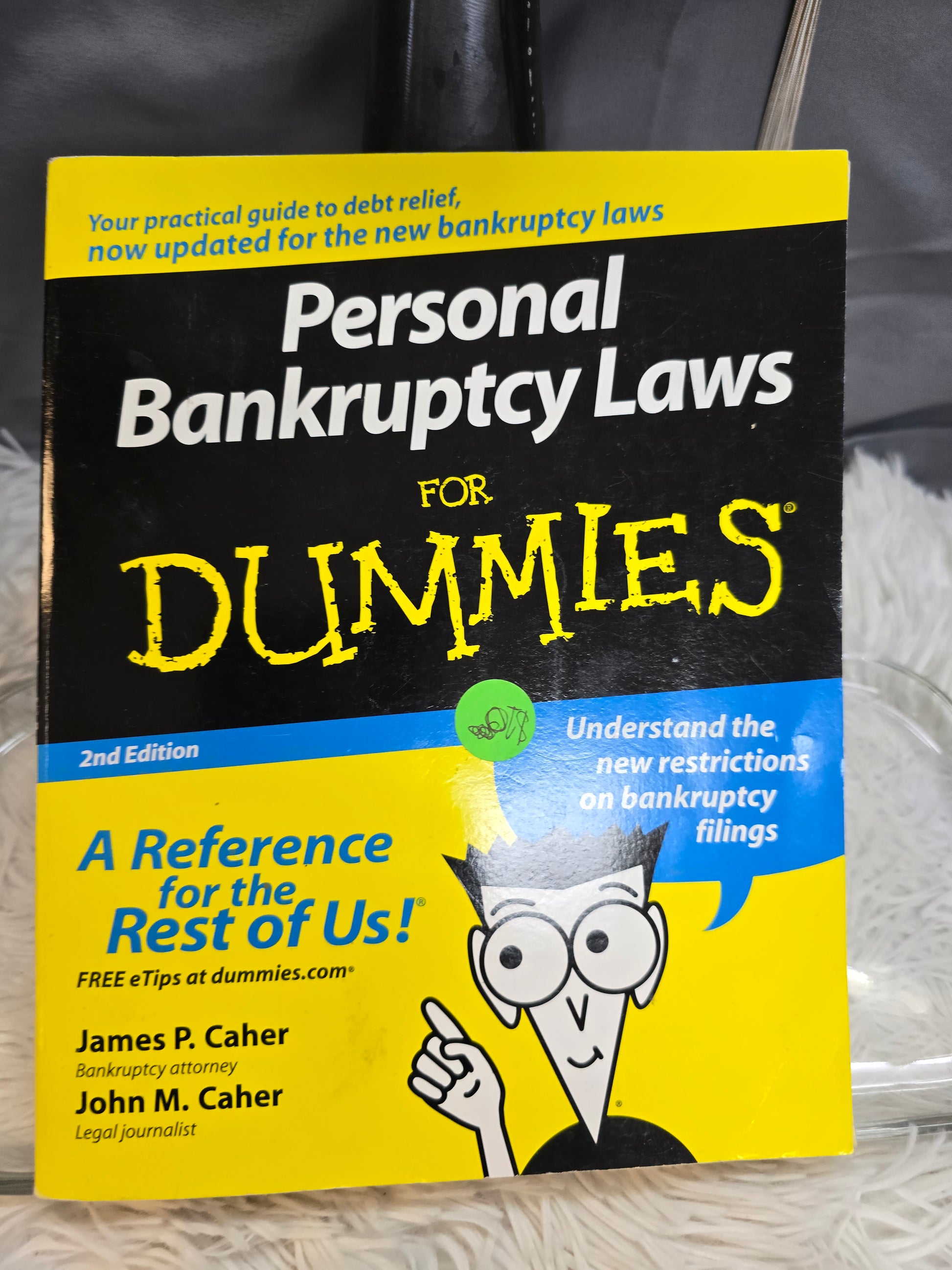 Personal Bankruptcy laws for Dummies  image 0
