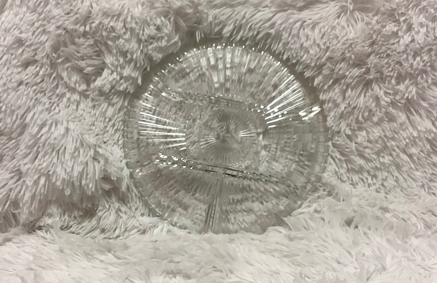 Divided glass serving tray image 3