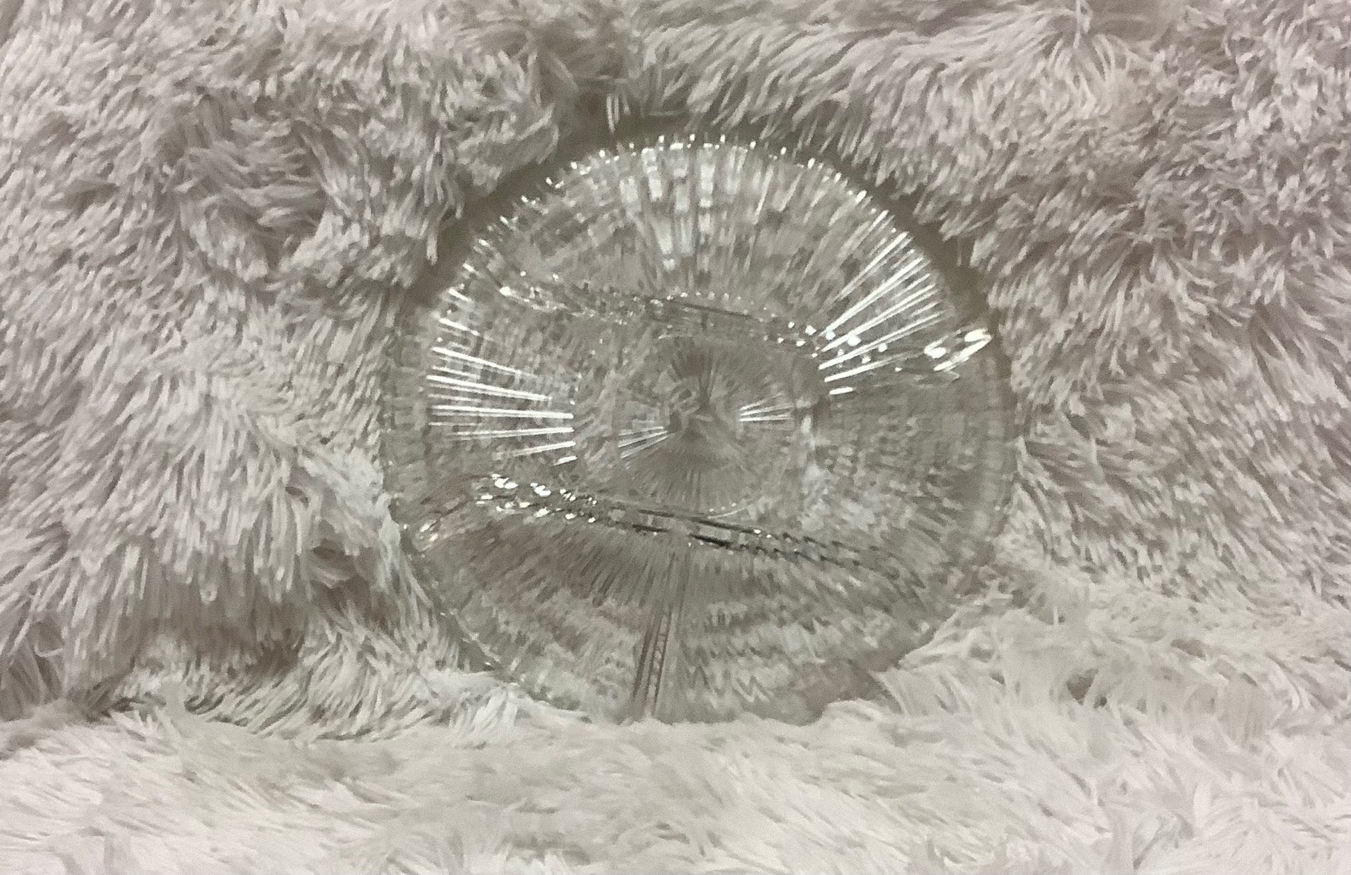 Divided glass serving tray image 3