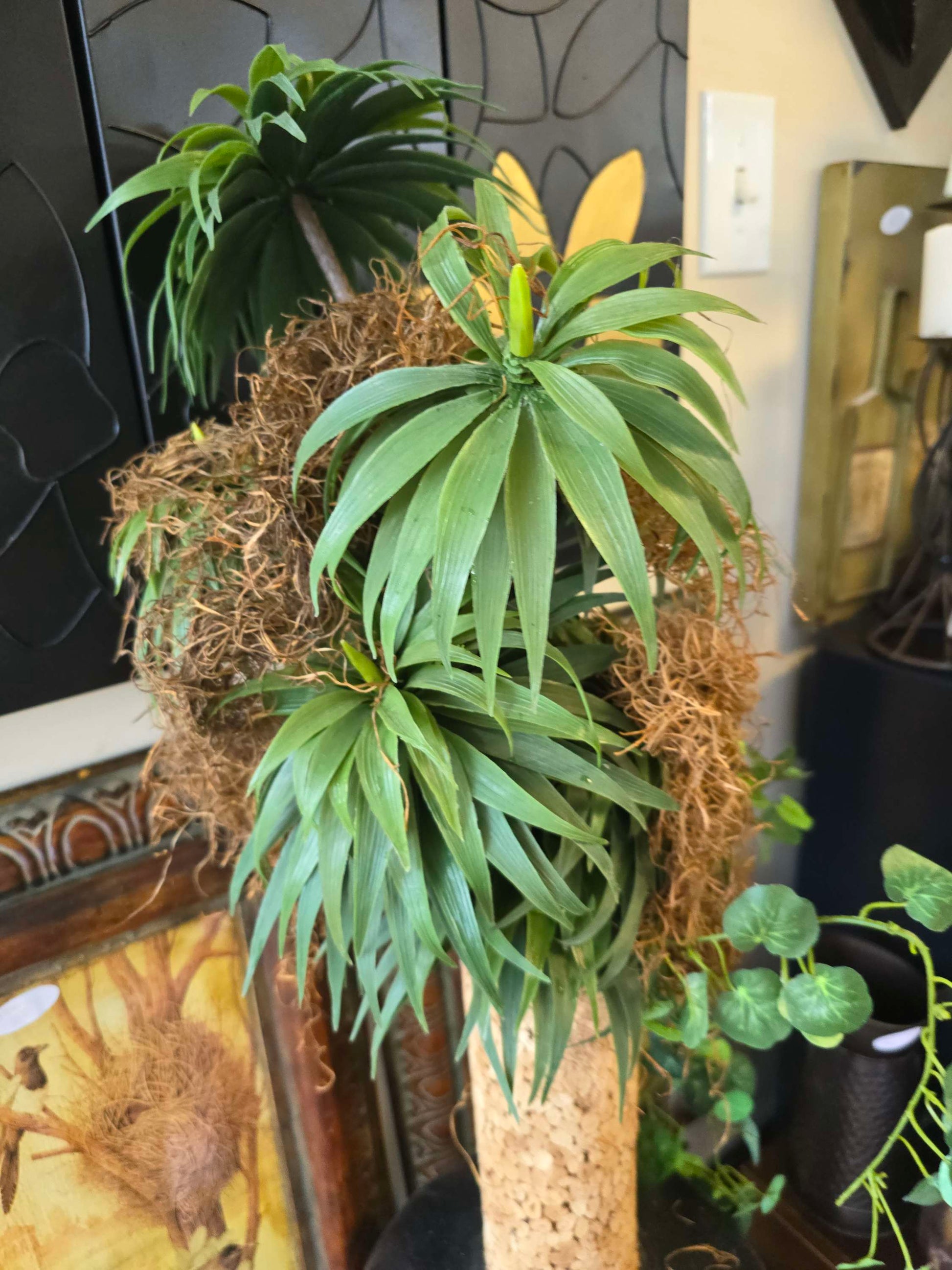 Vase with green plant image 3