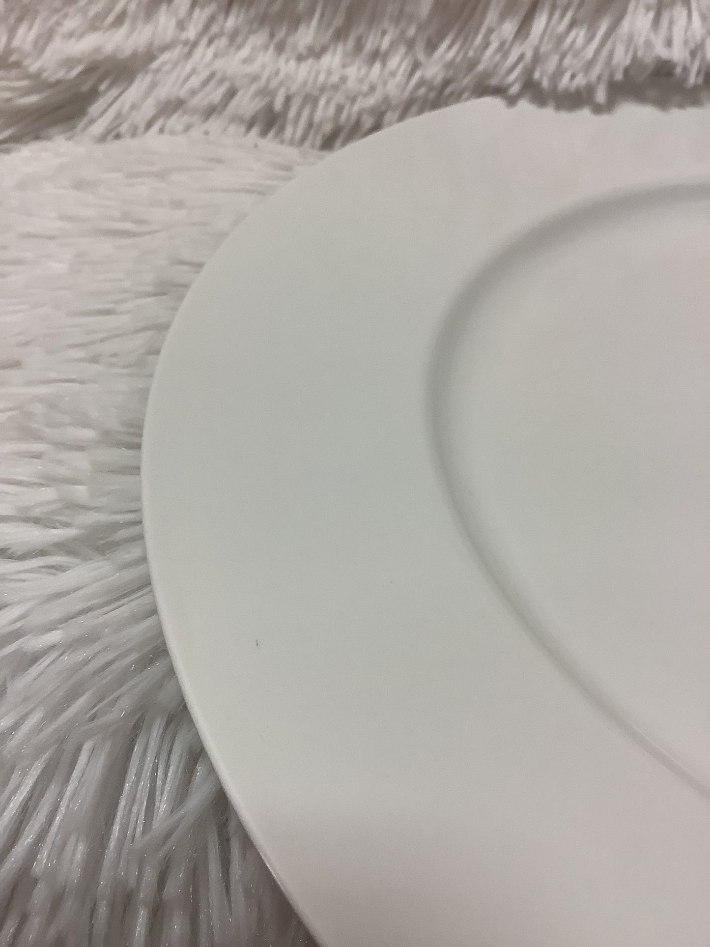 4 bodum plates image 2