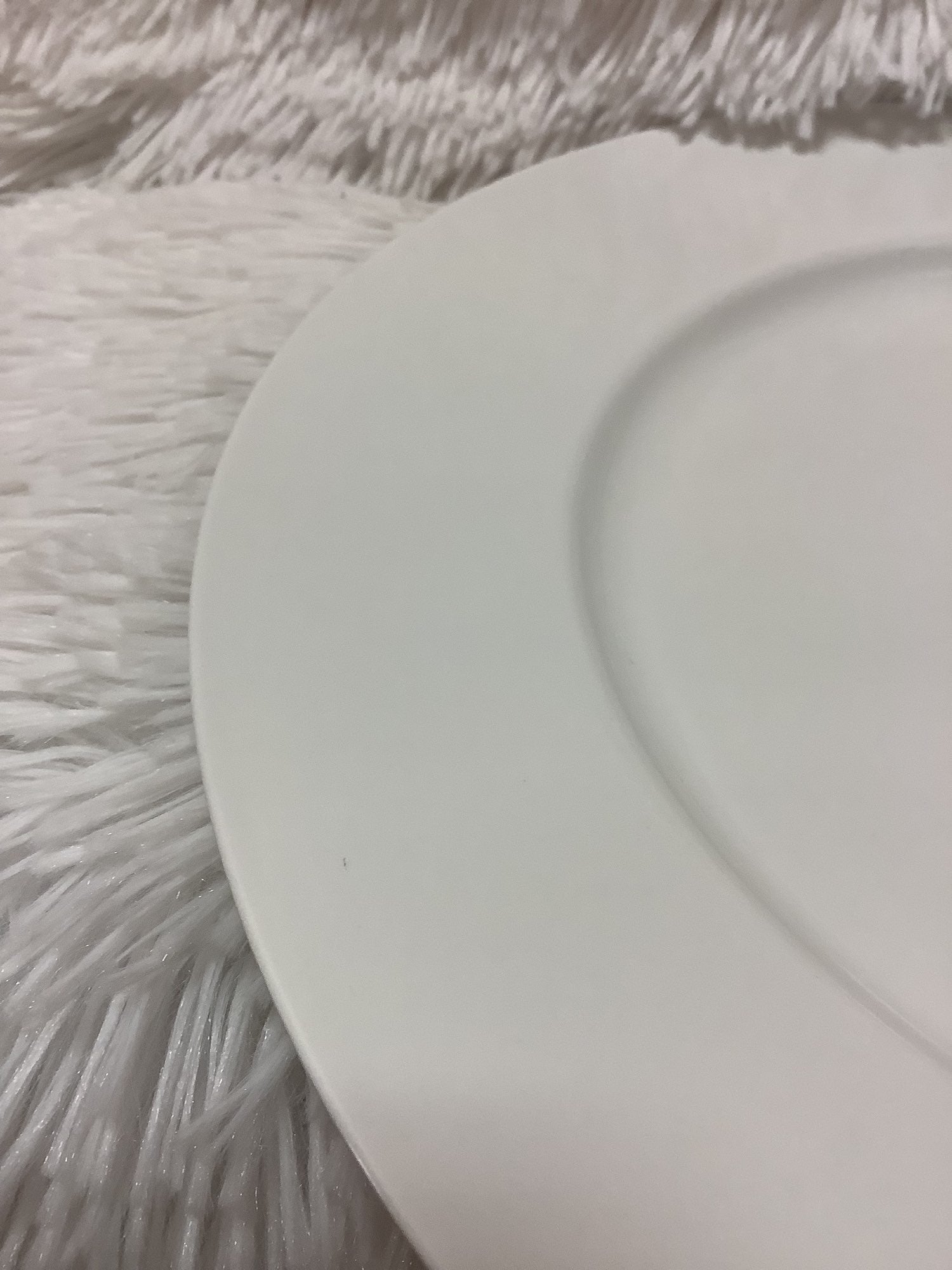 4 bodum plates image 2