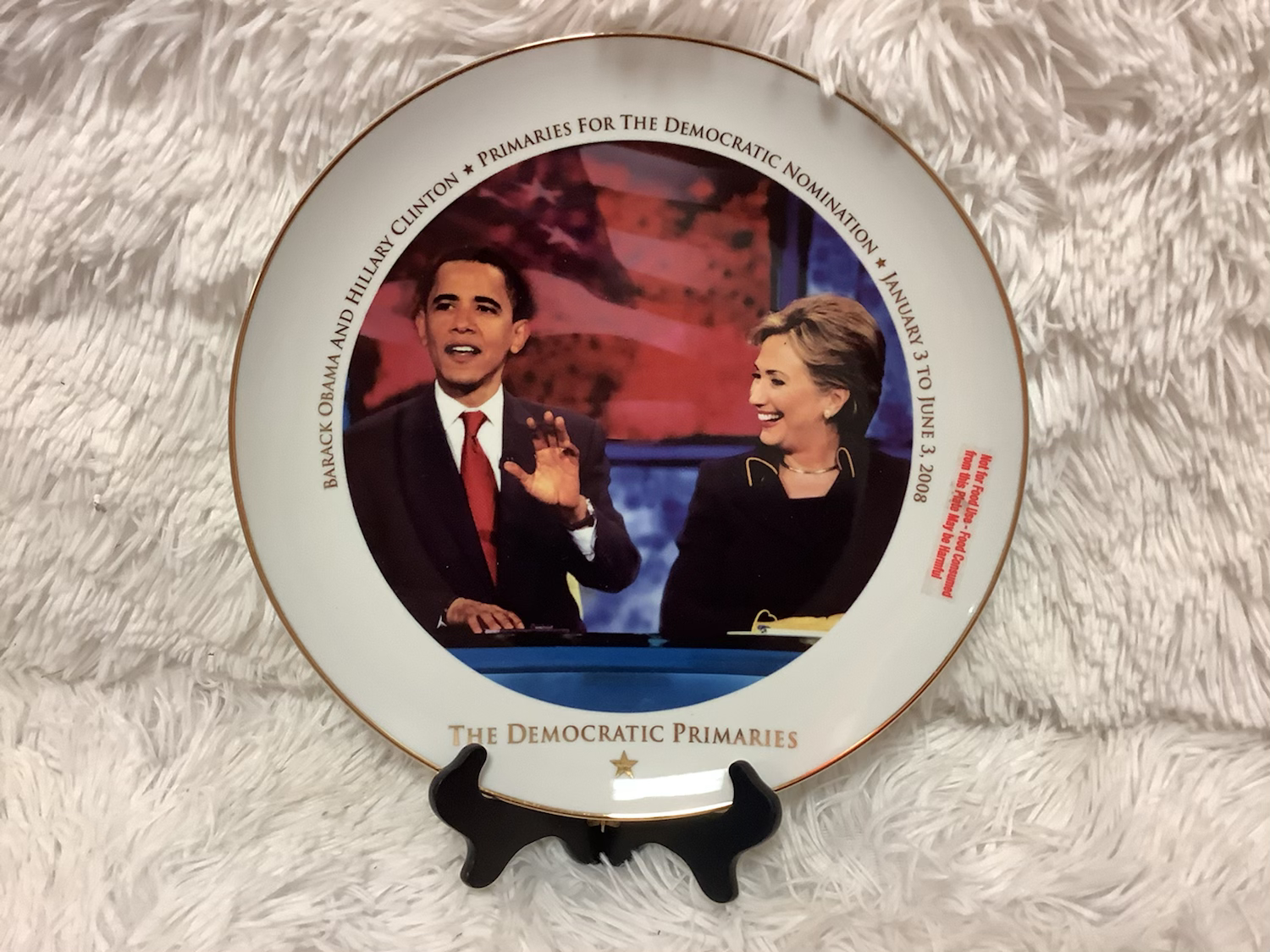 The democratic primaries plate image 0