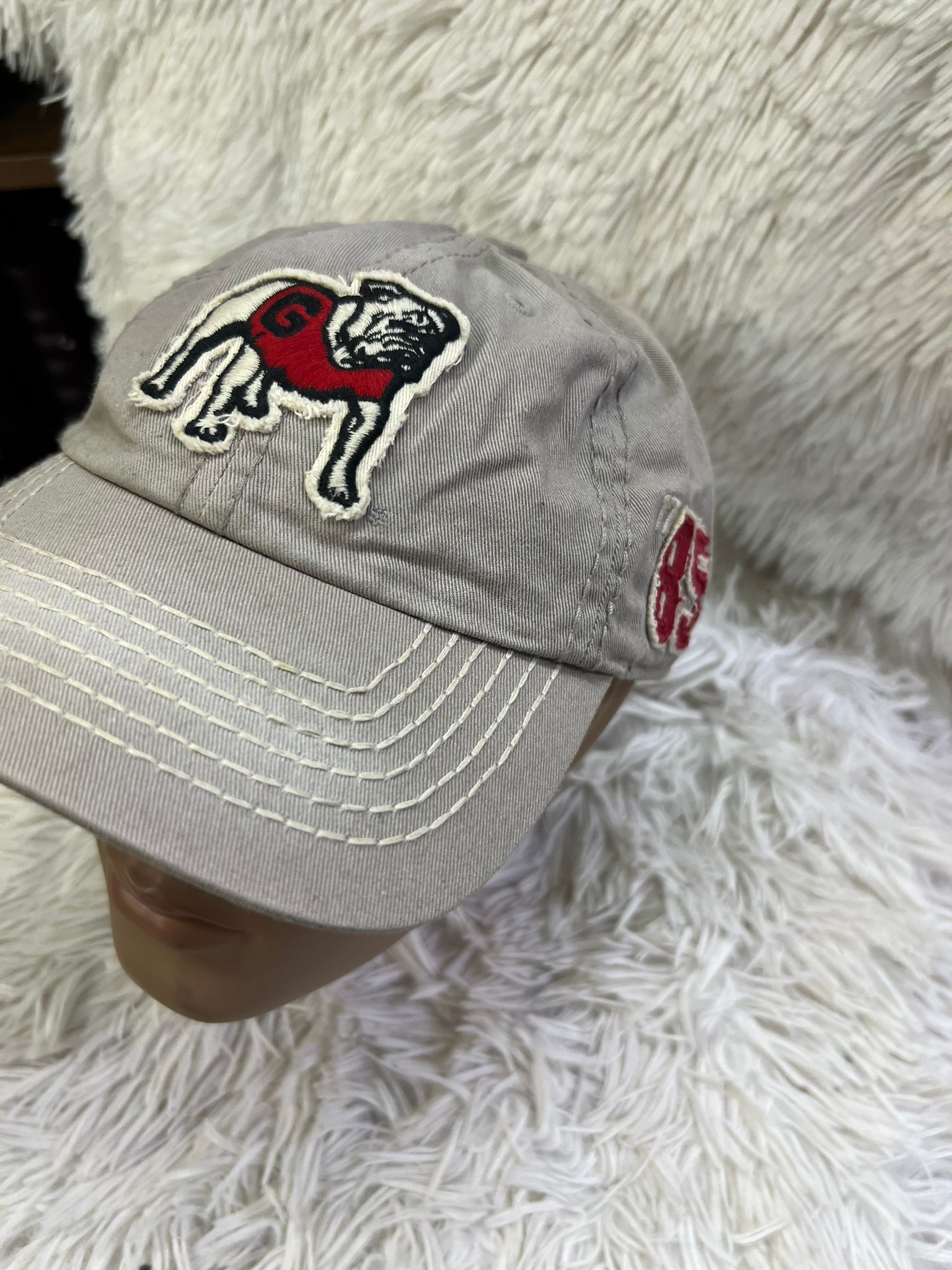 Georgia Bulldogs 85 image 1