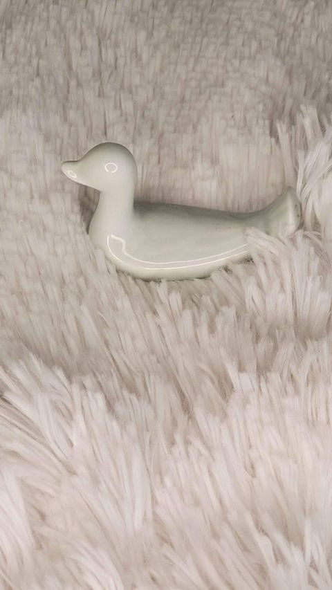 pair Porcelain birds/dove image 3