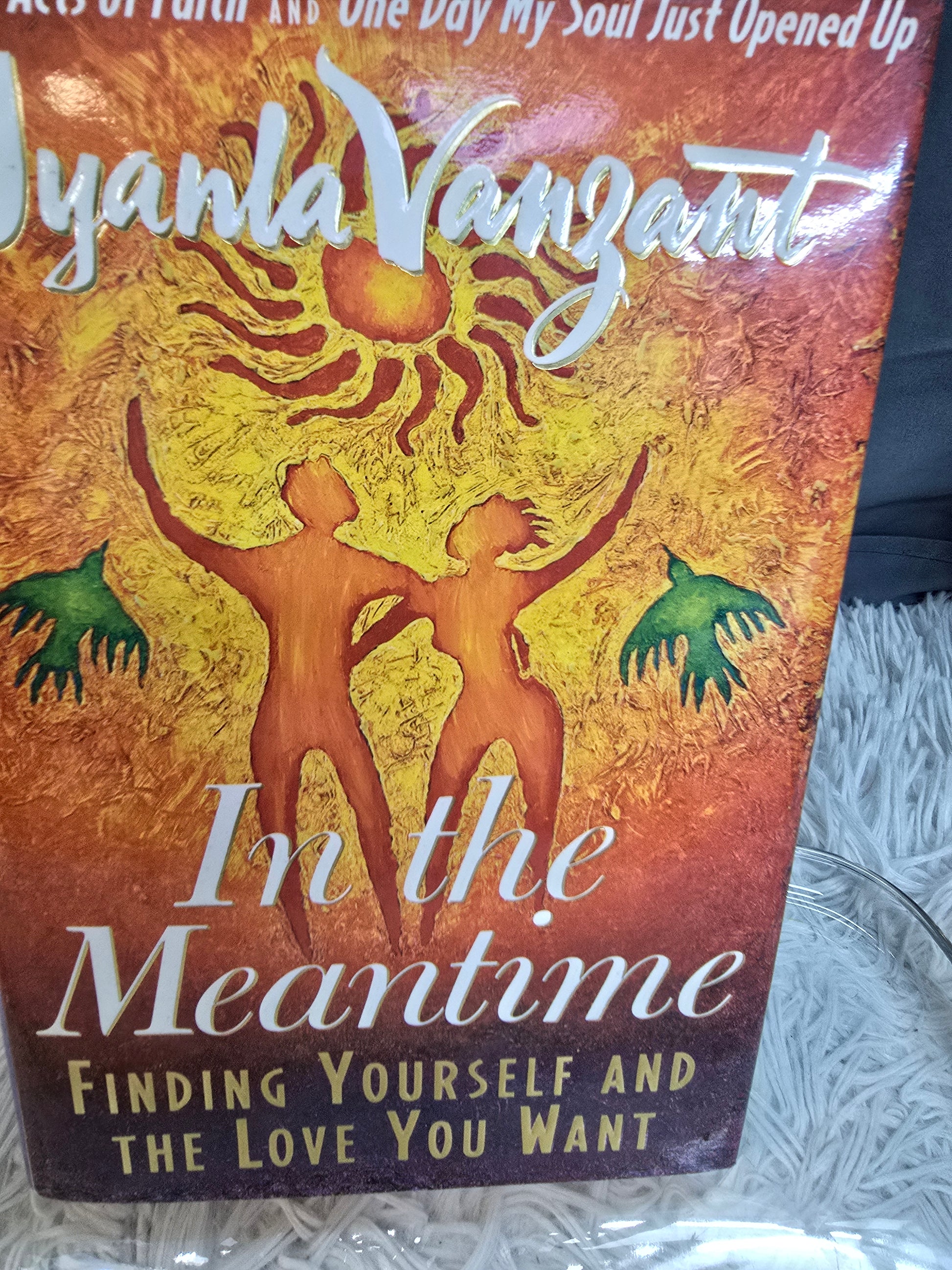 In the Meantime : Finding Yourself and the Love You Want by Iyanla Vanzant... image 0
