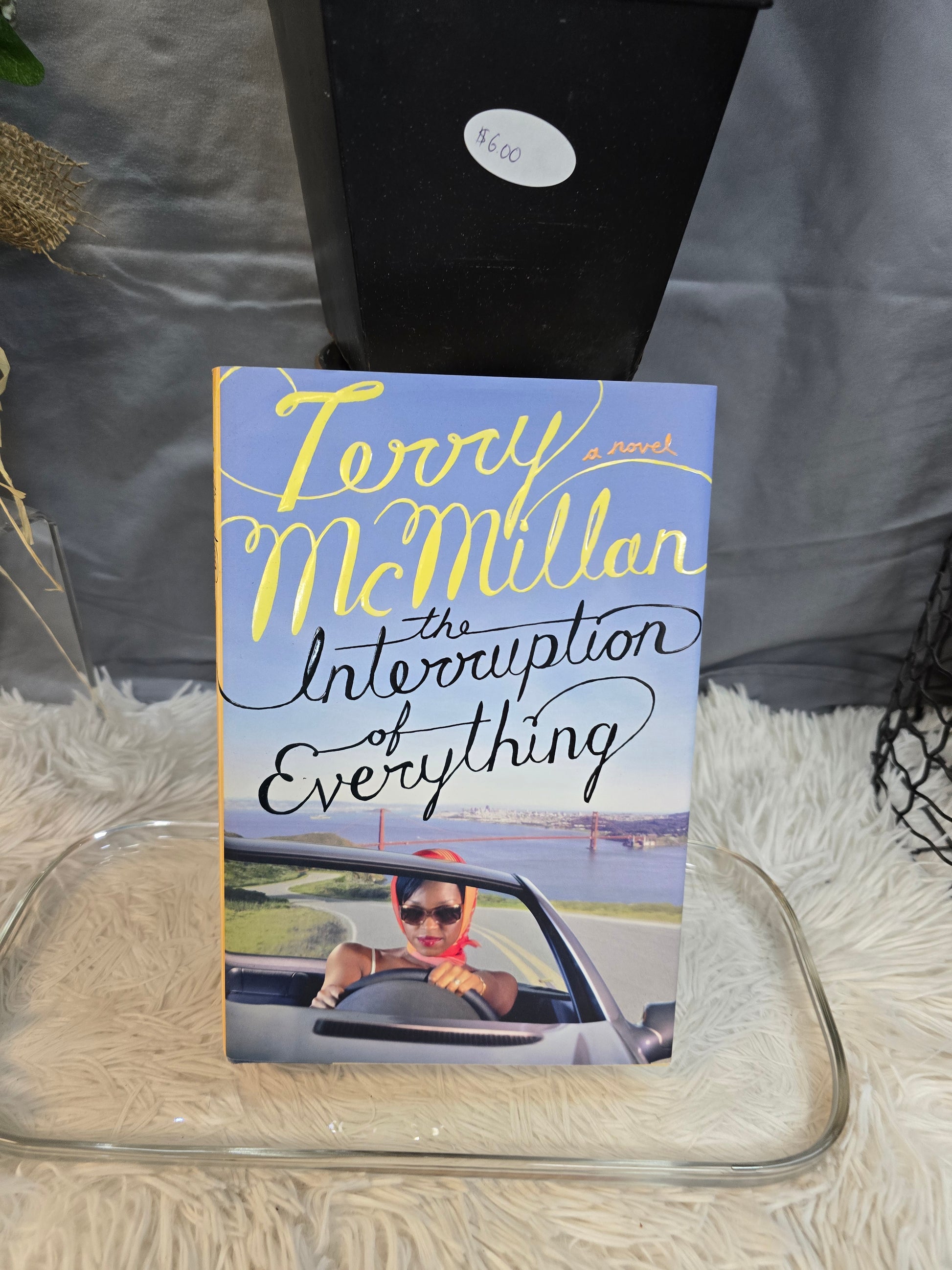 The interruption of everything  image 0