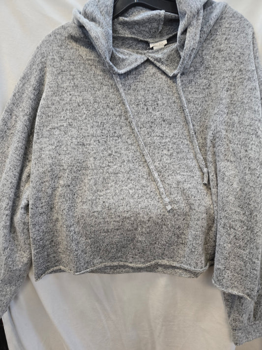 Crop top hoodie sweater 1X image 1
