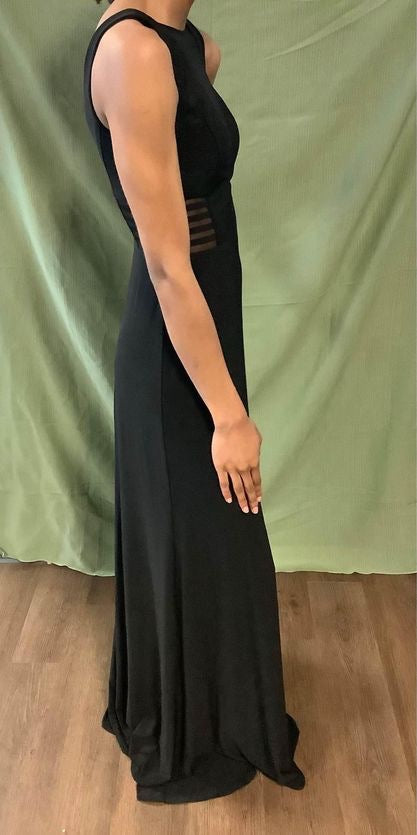 Morgan And Co Dress image 3