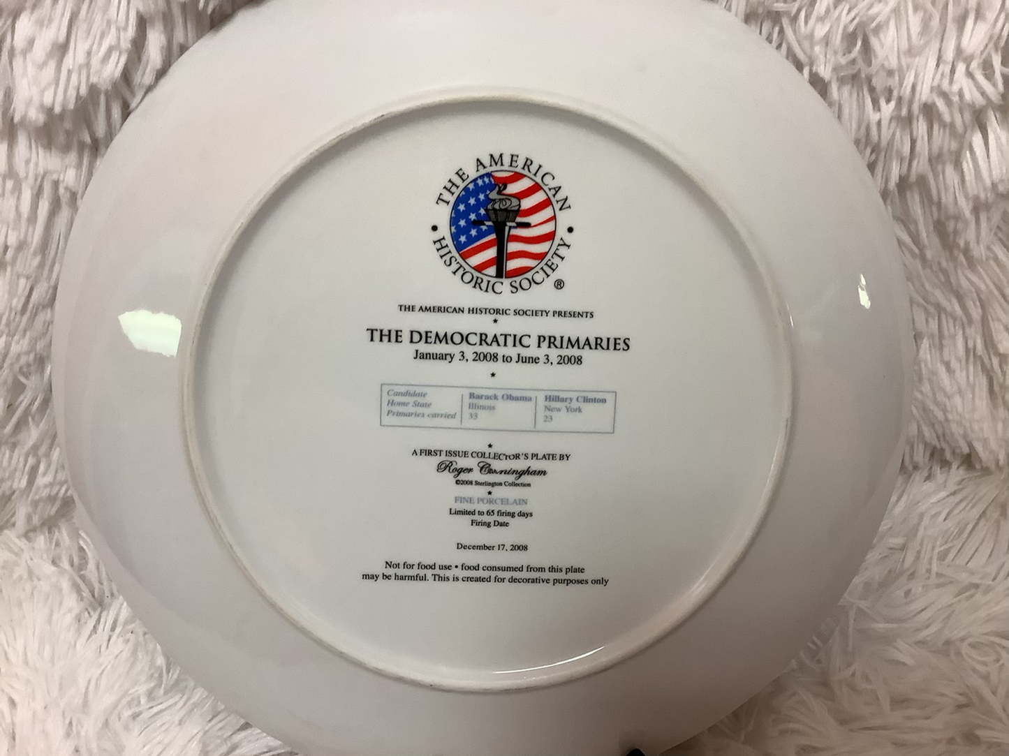 The democratic primaries plate image 1