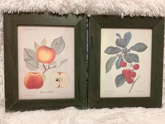 Vintage Fruit painting wall decor image 0