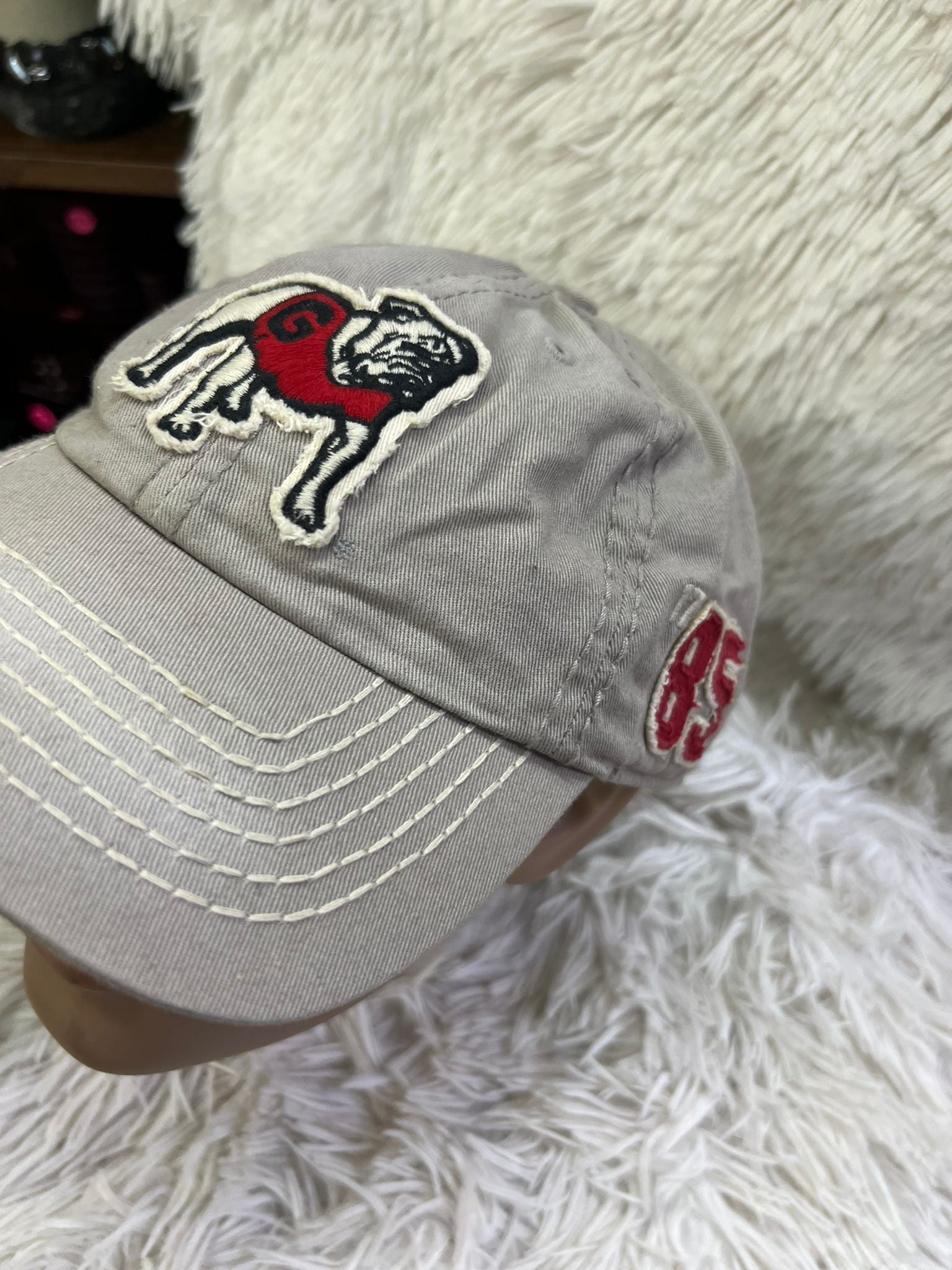 Georgia Bulldogs 85 image 5