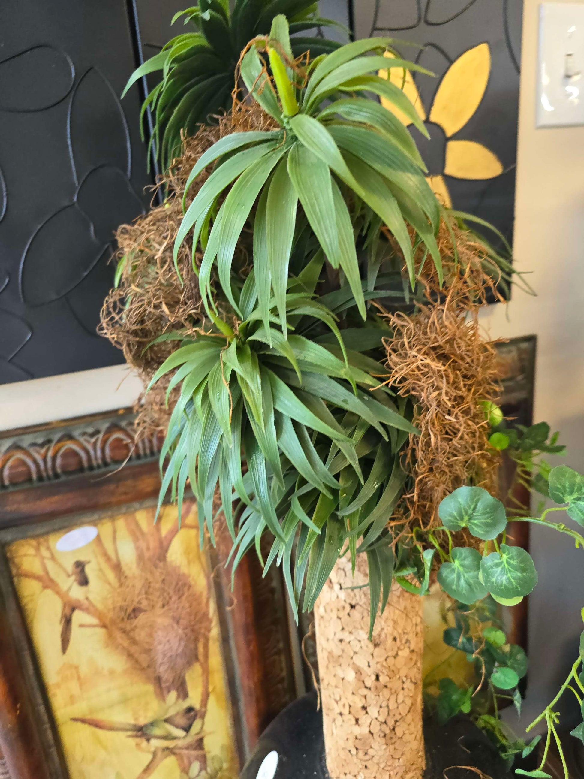 Vase with green plant image 1