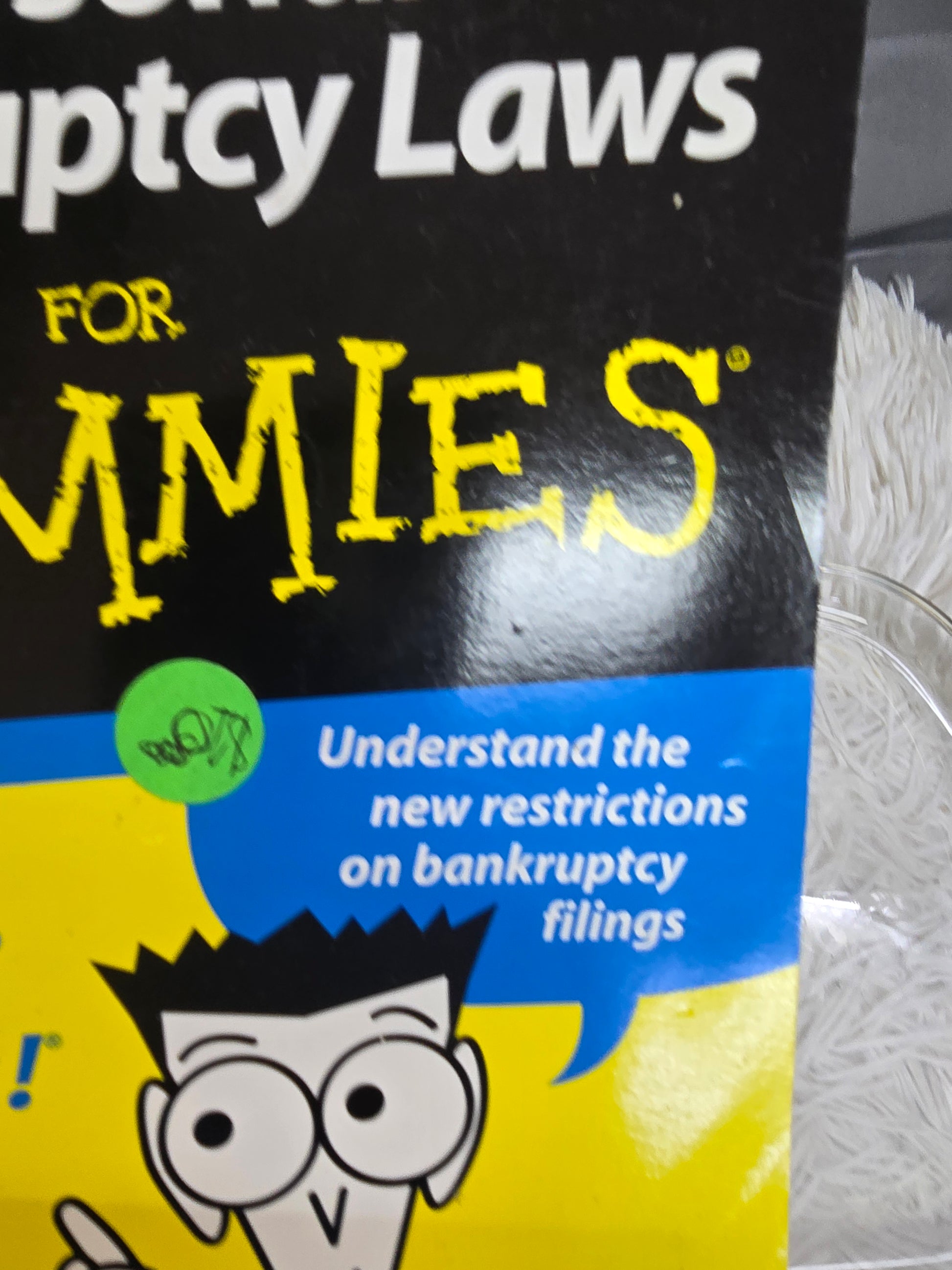 Personal Bankruptcy laws for Dummies  image 2