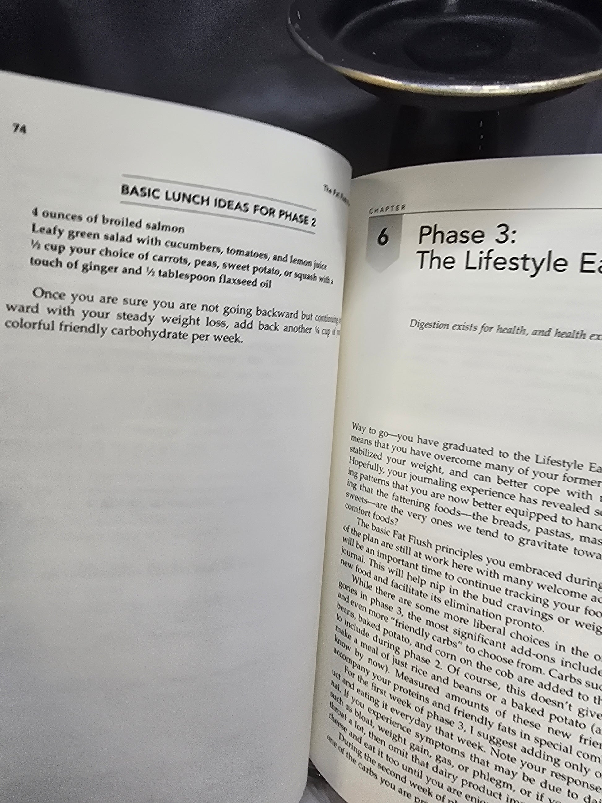 The fat flush plan image 3
