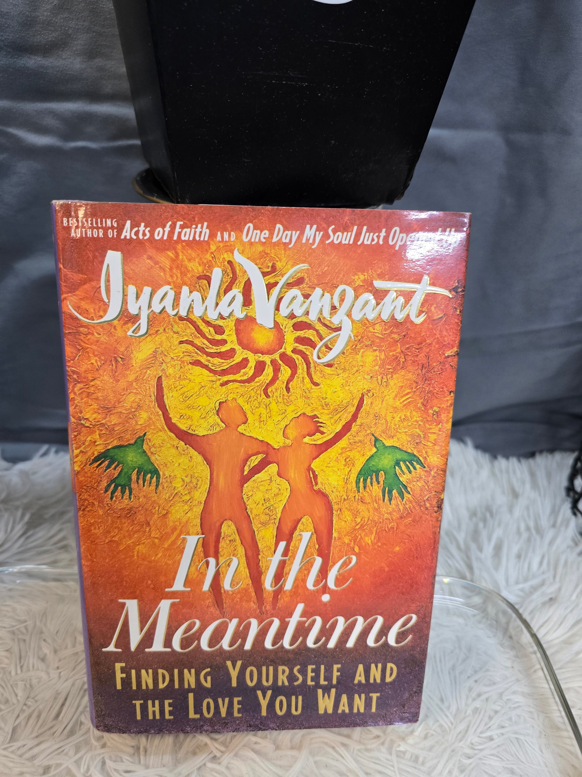In the Meantime : Finding Yourself and the Love You Want by Iyanla Vanzant... image 3
