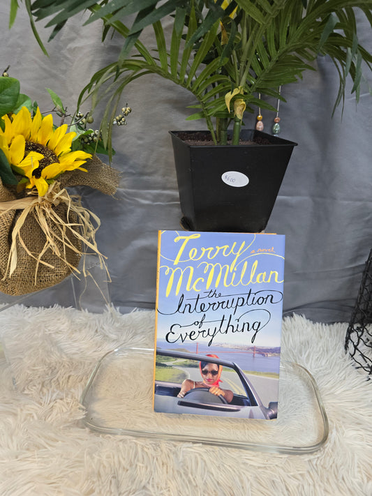 The interruption of everything  image 1
