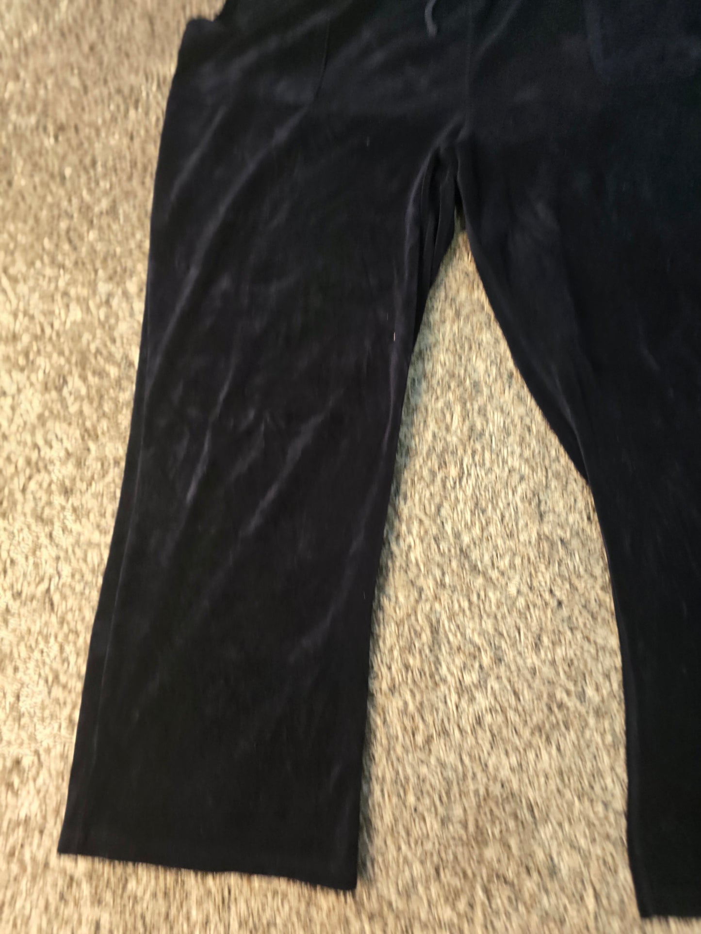 Blue Velour/Suede-Look Lounge Pants – Size 2X