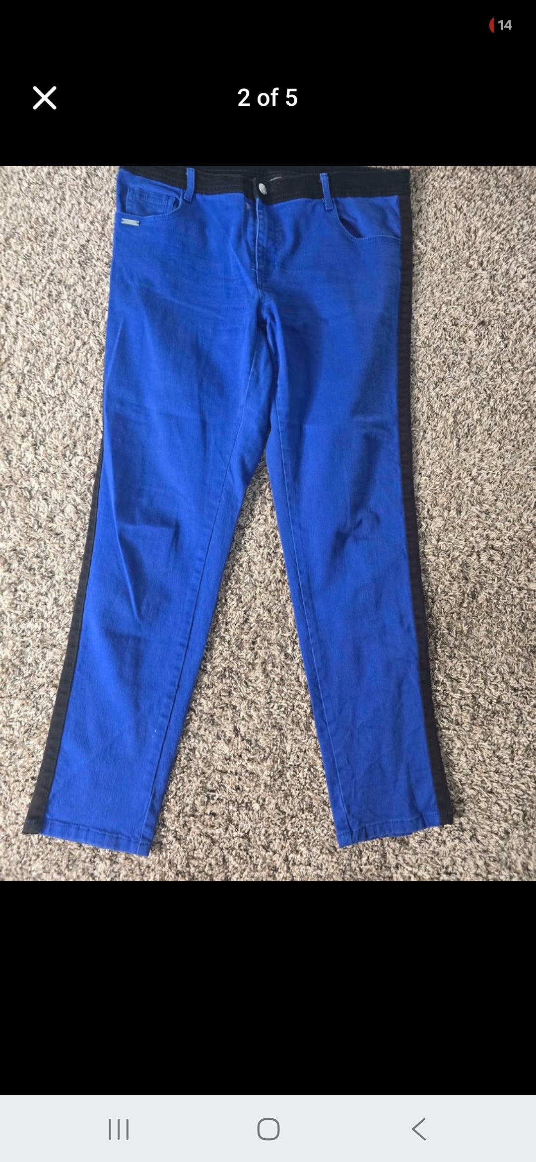 Miss Tina Women’s Royal Blue & Black Colorblock Pants – Size 14
